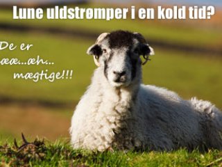Opdateret info omkring valg af uldstrømper